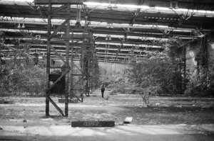 Ruins 2