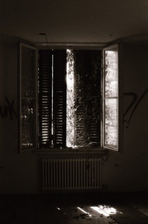 Ruins 5